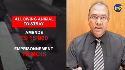 Allowing animal to stray : “Les propriétaires devront payer une amende de Rs 15 000 et un emprisonnement de 10 mois”, affirme l’inspecteur Shiva Coothen