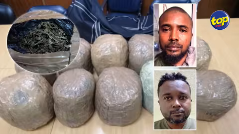 Saisie de plus de Rs 15 millions de cannabis à Cassis : une fourgonnette volée recherchée par la brigade antidrogue