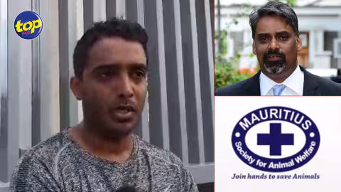 Allégation d’atrocités et de négligence : Des actes « démoniaques » commis envers les animaux…la MSAW et le ministre de l’Agro-industrie doivent être punis, s’insurge Sameer Golam