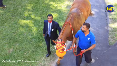 Hippisme : Samraj Mahadia obtient sa licence d’entraîneur
