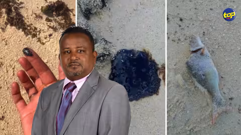 Des traces d’huile et des poissons morts retrouvés sur la plage de Pointe d’Esny ce matin : « Cela va faire une année que nous attendons les résultats des analyses », affirme Tony Apollon