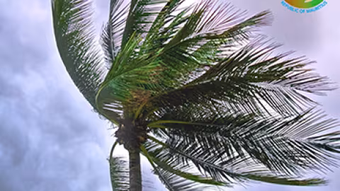 Activation des Comités Locaux d'Urgence pour une réponse rapide face au cyclone