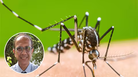 Dengue : un deuxième cas détecté