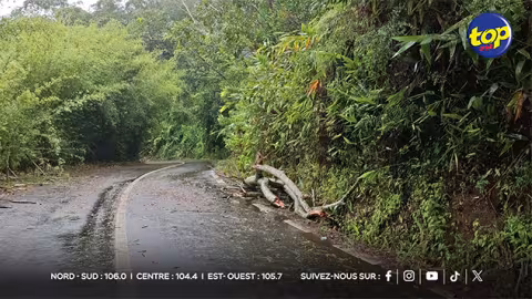 Route de Chamarel : déblaiement effectué après l'obstruction causée par un arbre