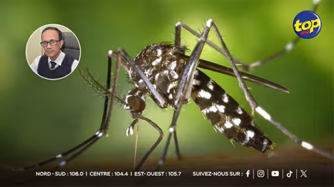 Cas de Chikungunya: 53 à Maurice et 5 à Rodrigues