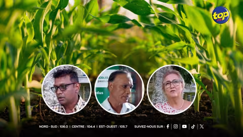 Secteur agricole : Vers une transition agroécologique