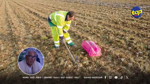 agricole