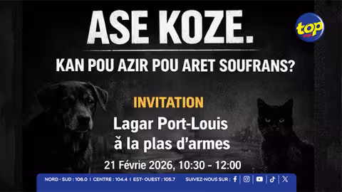 Marche silencieuse ce samedi à Port-Louis pour le bien-être animal : Un cri du cœur dans le silence de 10h30 à 12h30