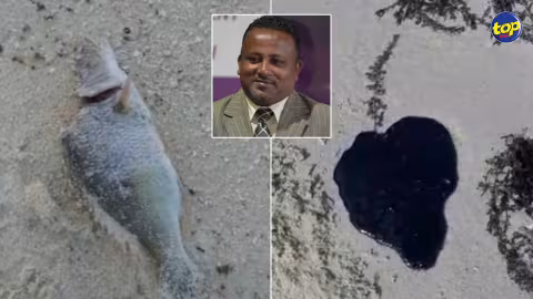 Traces d’huile et poissons morts découverts sur la plage de Pointe d’Esny : “Est-ce que les poissons du lagon sont comestibles ? ” s’interroge Tony Apollon