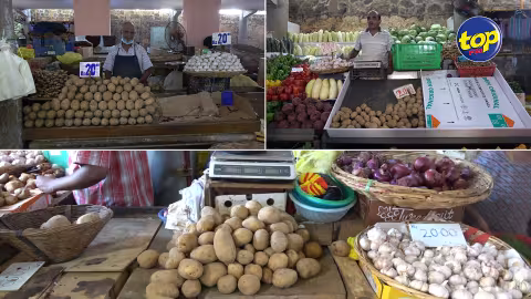 Y-a-t-il une pénurie d’oignon ? : Grosse colère des maraichers du marché central ce mardi