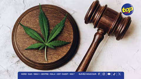 Kolektif 420: une marche en faveur de la légalisation du cannabis à Maurice