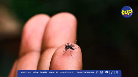 Chikungunya : plus de 2 200 cas recensés, la riposte sanitaire s’intensifie ; plus de 22 635 maisons inspectées