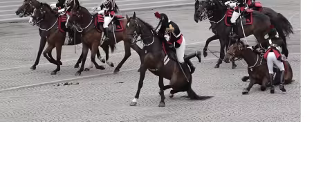 Défilé du 14 juillet marqué par la chute de chevaux de la Garde républicaine devant le président
