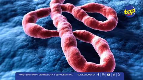 Ebola : « Un exercice de simulation prévu à l’aéroport ce mardi, pour tester la capacité de réponse des autorités », affirme Anil Bachoo