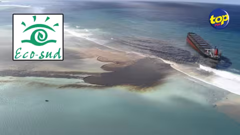 Marée noire du Wakashio : l’ONG Eco-Sud a déjà récolté plus de Rs 13 millions à travers le sociofinancement