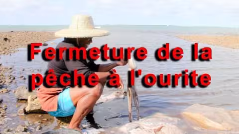Rodrigues : La pêche à l’ourite fermée pour un mois