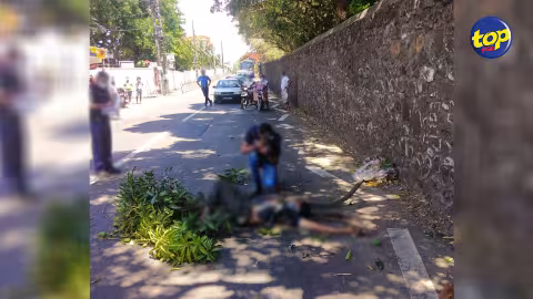 A Goodlands : un homme succombe après une chute d’un arbre