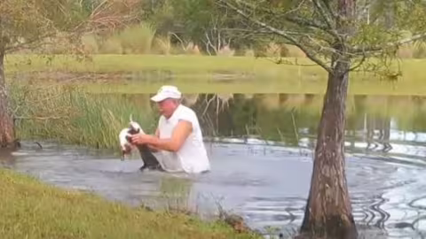 Un homme de 74 ans sauve son chiot des mâchoires d’un alligator en Floride