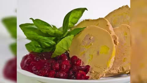 Journée mondiale anti foie gras