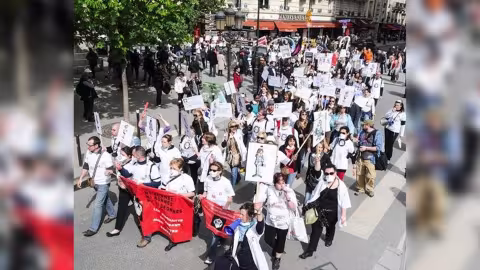 Journée mondiale de l’olivier