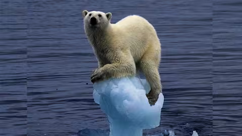 Journée Mondiale du Climat