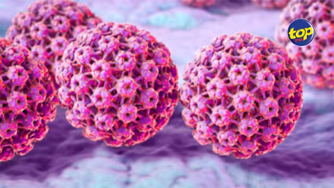 Appréhensions par rapport aux vaccins contre le papillomavirus : « Beaucoup de pays pe fer sa vaccin la… nous bizin pense bienfaits qui li pu fer sur la jeune génération », déclare le ministre Kailesh Jagutpal