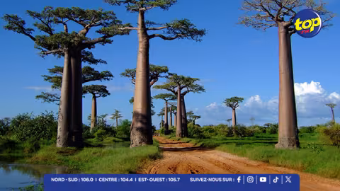 La COI soutient un projet pilote à Madagascar pour renforcer la résilience des côtes dans toute la région de l’océan Indien 