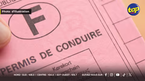 permis à points