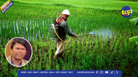 pesticides