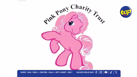 Pink Pony Charity Trust lance un crowdfunding : Aidez à financer un 4x4 pour secourir les chiens errants