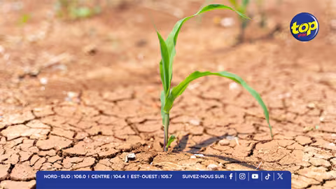 Pluies inférieures à la normale jusqu'en septembre : El Niño devrait accentuer la sécheresse