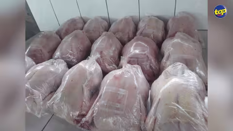 Vol de 330 kilos de poulet : un jeune de 23 ans condamné à cinq jours de prison