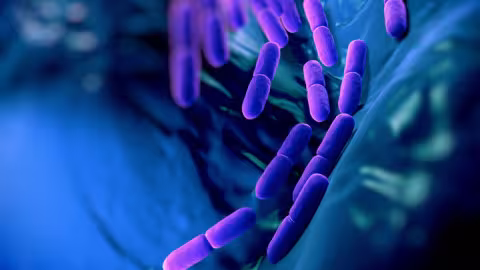 Comment nettoyer ses intestins naturellement