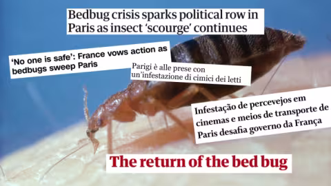 Punaises de lit : l’angoisse des Parisiens gagne la presse étrangère, à moins d’un an des JO de 2024