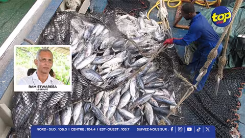Surpêche dans l’océan Indien : Faut-il rendre publics les accords de pêche ?