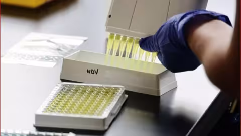 Covid-19 : un variant réunionnais détecté, 70 cas identifiés