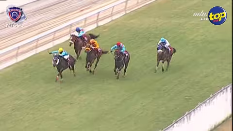 Hippisme : l’écurie Gujadhur remporte haut la main la Duchesse avec Royal Wulff !