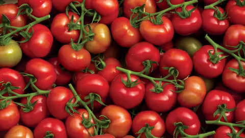 La tomate est bonne pour la peau