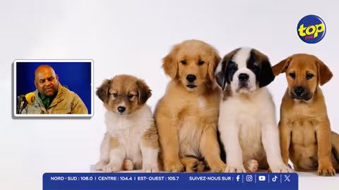 Enregistrement obligatoire des chiens : « Zot pe rod fer kouma dan l’Europe et pe persécute bane Mauriciens », dénonce Neelkanth Dulloo