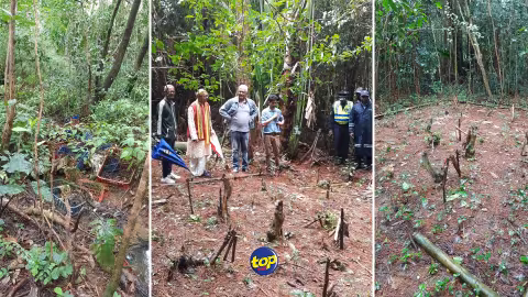Suite à une déposition consignée par l’activiste Reda Chamroo au poste de Vacoas le jeudi 10 août : La trappe à singes à proximité de Grand Bassin a mystérieusement disparu