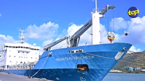 Le Mauritius Trochetia de retour à Port-Louis : le paquebot toujours endommagé, des perturbations attendues pour Rodrigues